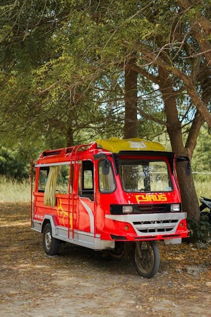 Transporte y cultura en San Juan de la Maguana: todo lo que debes saber