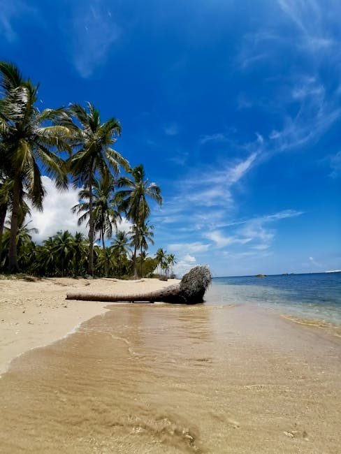 Las playas de Miches: un viaje a El Seibo en 2026
