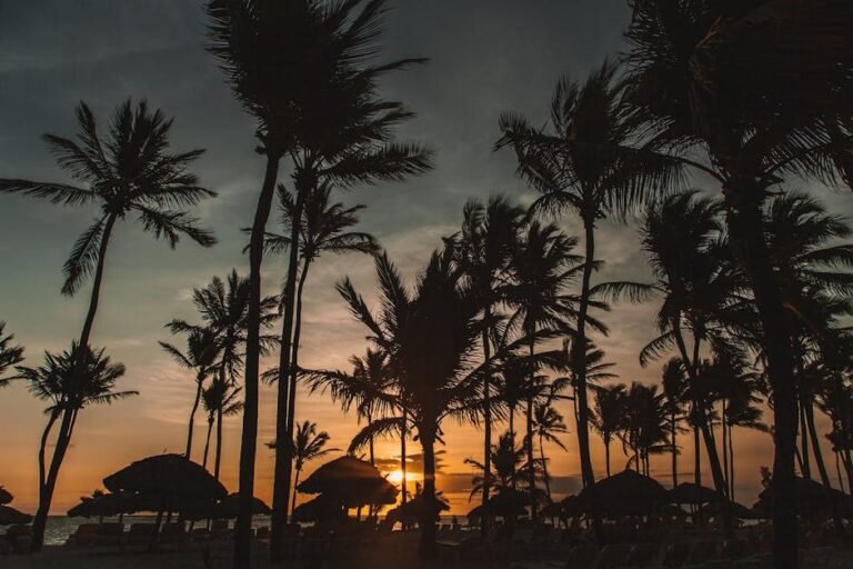 Interés de turistas europeos en el Caribe esta semana