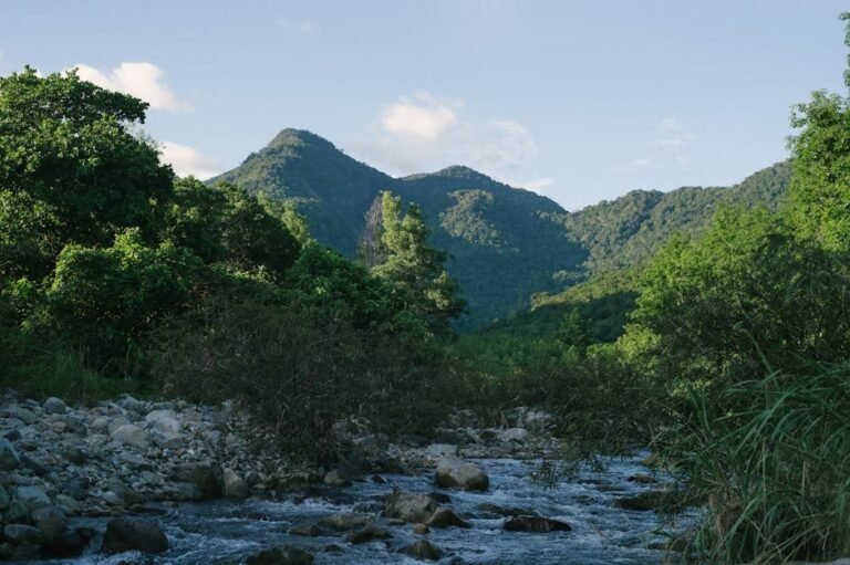 Cómo llegar a Barahona y explorar el ecoturismo en el sur