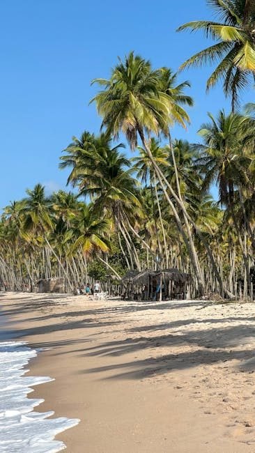 Cómo llegar a las playas de Miches: rutas y consejos