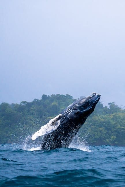 Ecoturismo en Samaná: atractivo para europeos