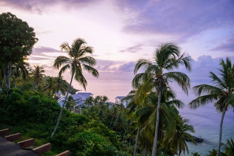 Cómo llegar a Barahona y disfrutar del ecoturismo en el sur