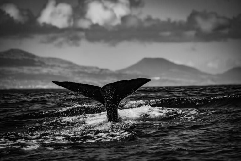 Interés en Samaná: maravillas naturales a explorar
