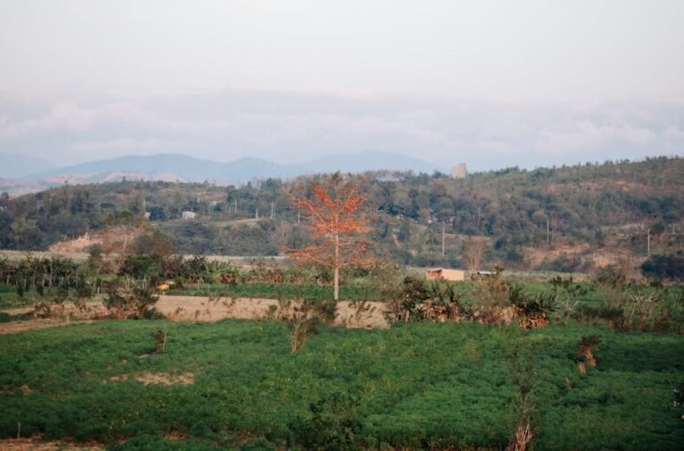 Cómo llegar a Azua y disfrutar de Valle Nuevo en invierno