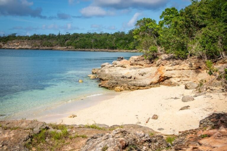 Cómo llegar a Bahía Águilas y disfrutar de su belleza natural