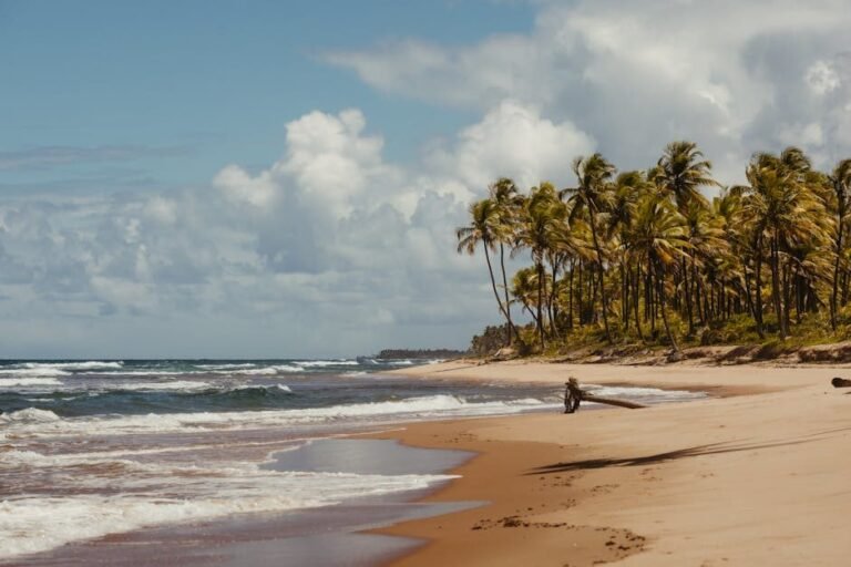 Cómo llegar a las playas de Miches en El Seibo en 2026