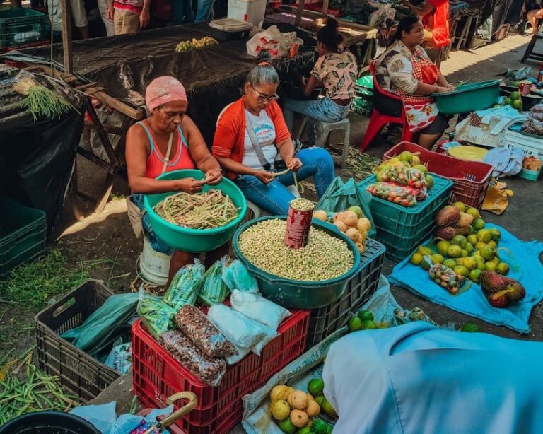 Interés creciente por el Cibao: ¿Qué buscan los canadienses y estadounidenses?