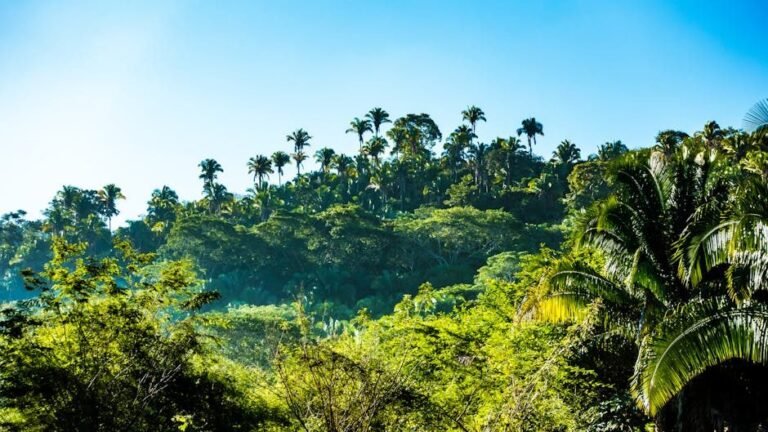 Ecoturismo en Barahona: Disfruta de la Naturaleza en Santiago Rodríguez