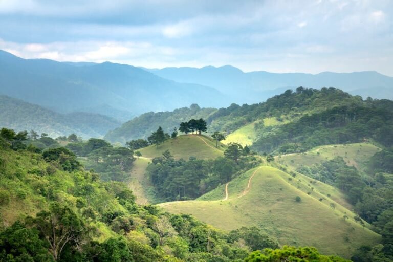 Moca y el creciente interés de turistas europeos por sus montañas