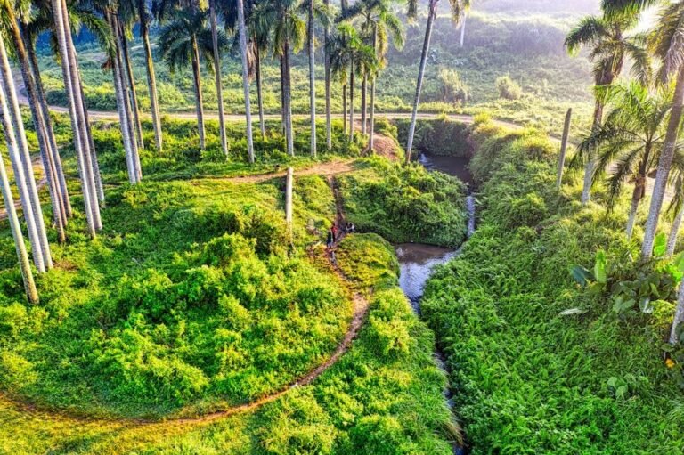 Moca en el horizonte: lo que buscan los europeos en el Caribe