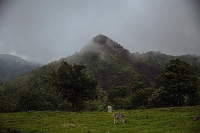 Cómo llegar a Azua y explorar el Valle Nuevo: un destino frío en el Caribe