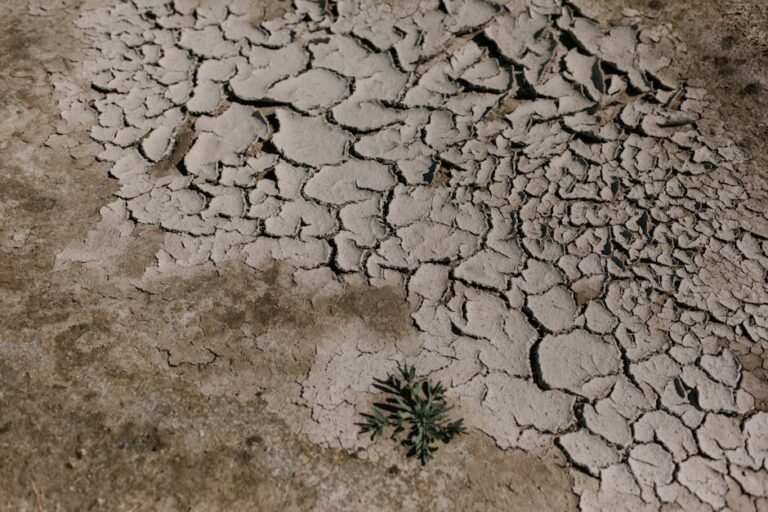 ¿Cómo llegar a Azua y disfrutar del clima más fresco en RD?