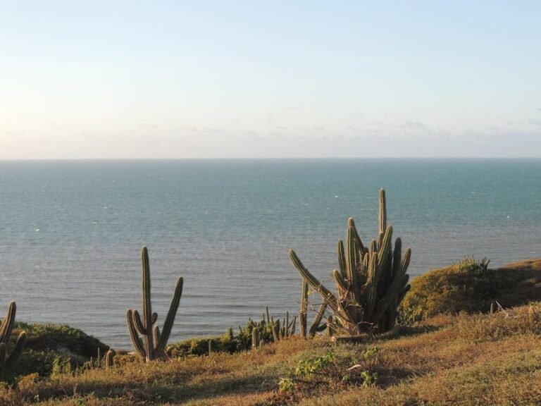 Búsquedas de viajeros en Monte Cristi y su atractivo
