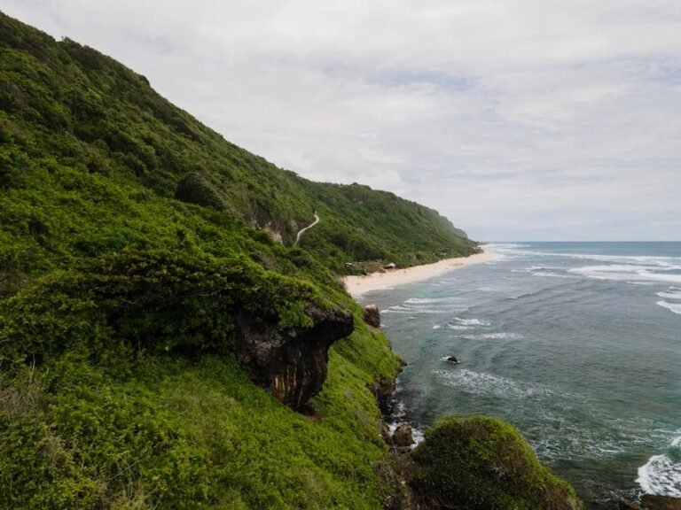 Cómo llegar a Barahona y disfrutar del ecoturismo en 2026