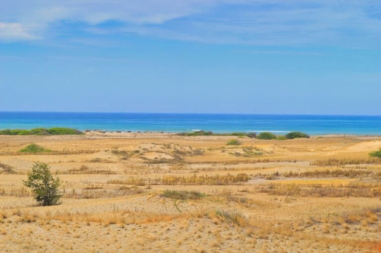 Cómo llegar a Barahona y disfrutar del ecoturismo del sur