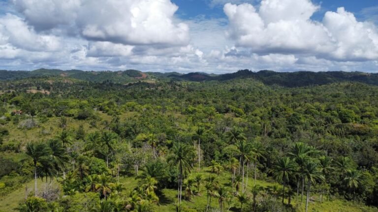 Atractivos Culturales y Naturales del Sur de la República Dominicana — imagen de turismo en República Dominicana