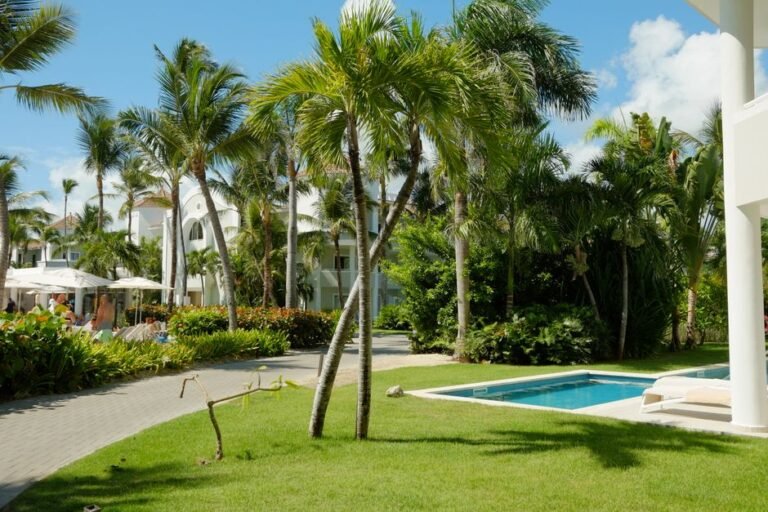 ¿CÓMO ENCONTRAR UN HOTEL BARATO? — imagen de turismo en República Dominicana