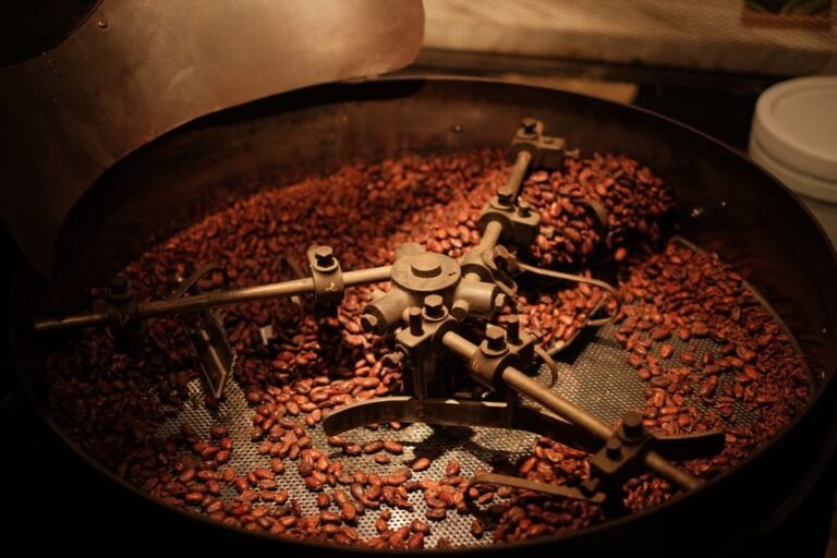 Cacao y Café en el Cibao: Un Viaje a través de Tradiciones — imagen de turismo en República Dominicana