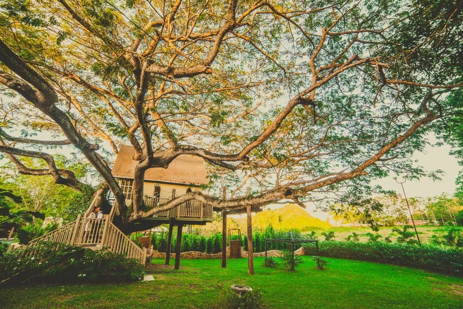 Gastronomía y Ecoturismo en La Vega: Sabores y Aventuras en el Corazón de la República… — turismo RD
