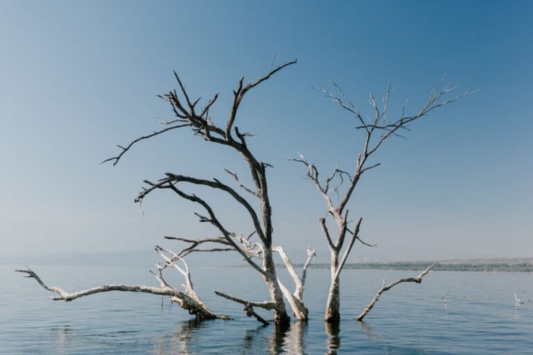 Lago Enriquillo y Neiba: Un destino sorprendente en 2026 — imagen de turismo en República Dominicana