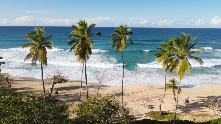 Nagua: Un Destino Cultural y Natural en María Trinidad Sánchez — imagen de turismo en República Dominicana