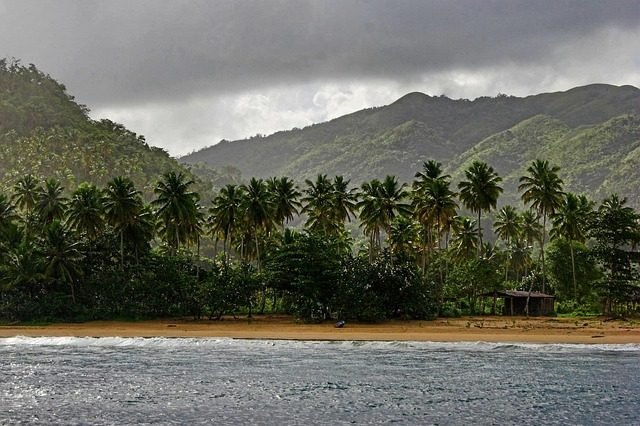 Playas de Miches: Un Destino Imperdible en la Costa Este de República Dominicana