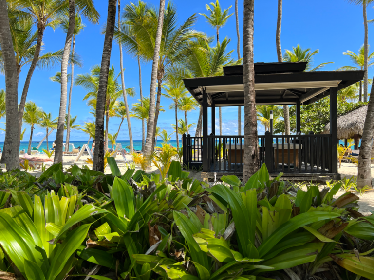 Hyatt Ziva Cap Cana — imagen de turismo en República Dominicana