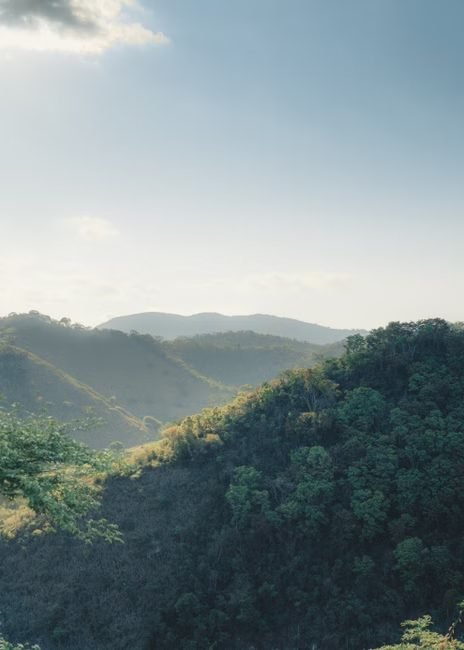 Tendencias de viajes a República Dominicana desde EE.UU. y Canadá