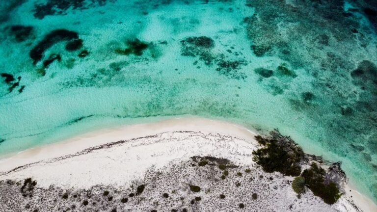 ¿Por qué la Bahía de las Águilas atrae a turistas de EE.UU. y Canadá?