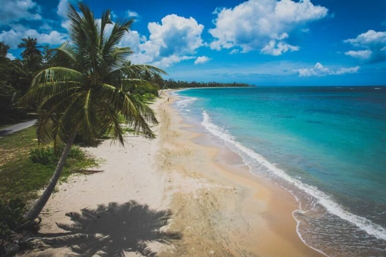 Miches y sus playas: Un rincón escondido en El Seibo en 2026