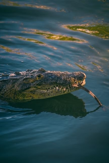 Ecoturismo en Barahona: explorando el Lago Enriquillo en 2026
