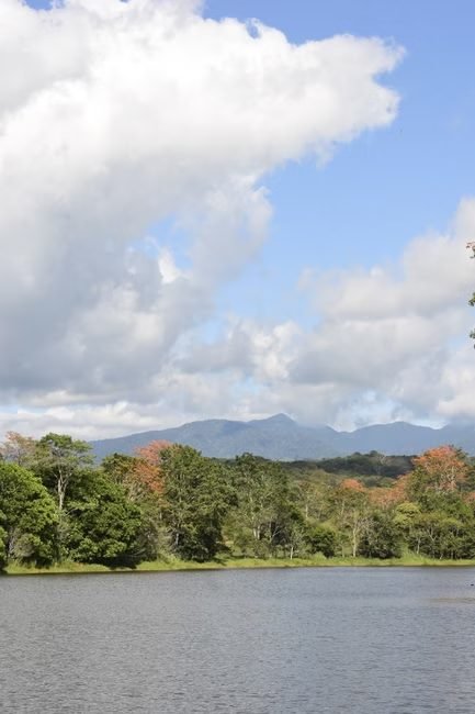 Nagua: Un Destino de Ecoaventura en el Norte de República