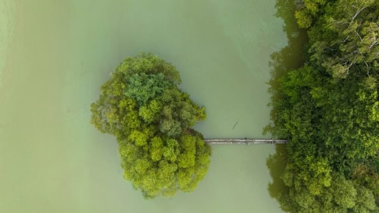 Barahona: Ecoturismo en el Sur y sus Riquezas Naturales