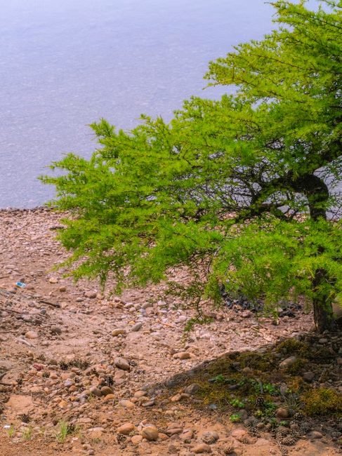 Neiba y Lago Enriquillo: un viaje al corazón del sur dominicano