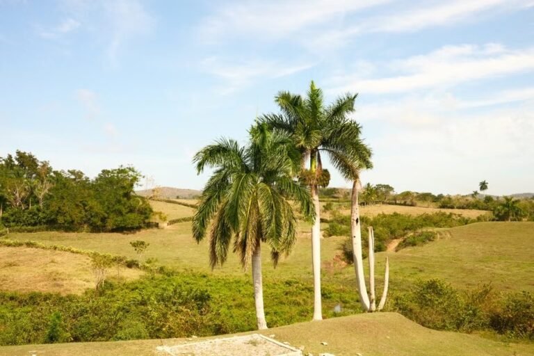 Moca y Santiago Rodríguez: Ecoturismo y Cultura en Espaillat y el Noroeste