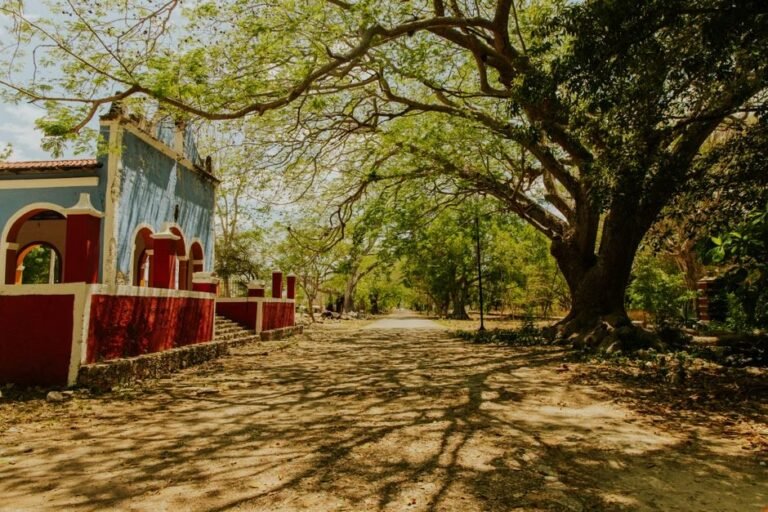 Bahía de las Águilas: Cultura y Naturaleza en Pedernales, República Dominicana — imagen de turismo en República Dominicana