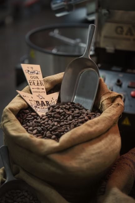 Aumento de búsquedas sobre cacao y café en San Francisco de Macorís