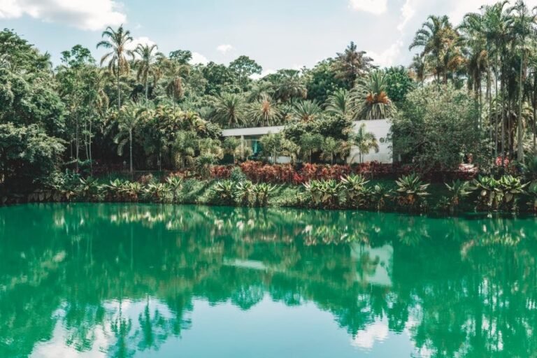 Rutas de Ecoturismo en Barahona: Conoce el Sur Dominicano