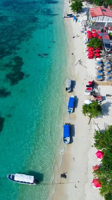 Bahía de las Águilas: Nuevas Búsquedas de Viaje desde EE.UU. y Canadá