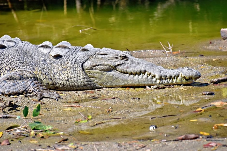 Ecoturismo en Independencia: Naturaleza y Cultura en el Sur — imagen de turismo en República Dominicana