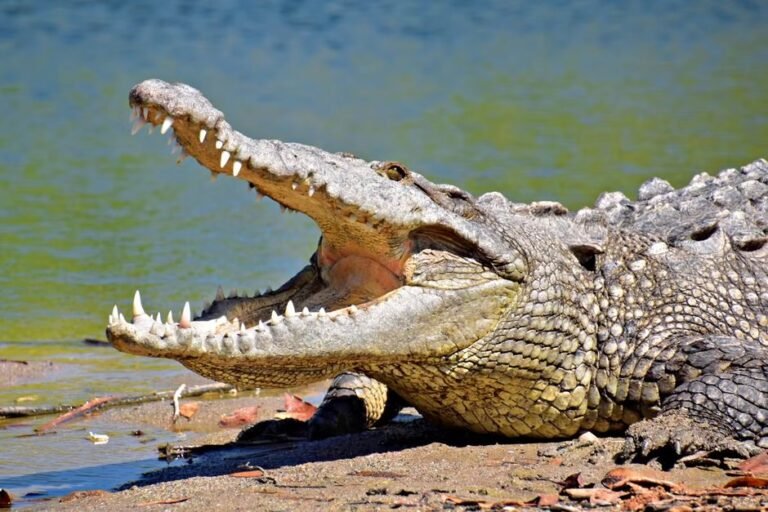 Aventura ecoturística en Barahona y sus paisajes