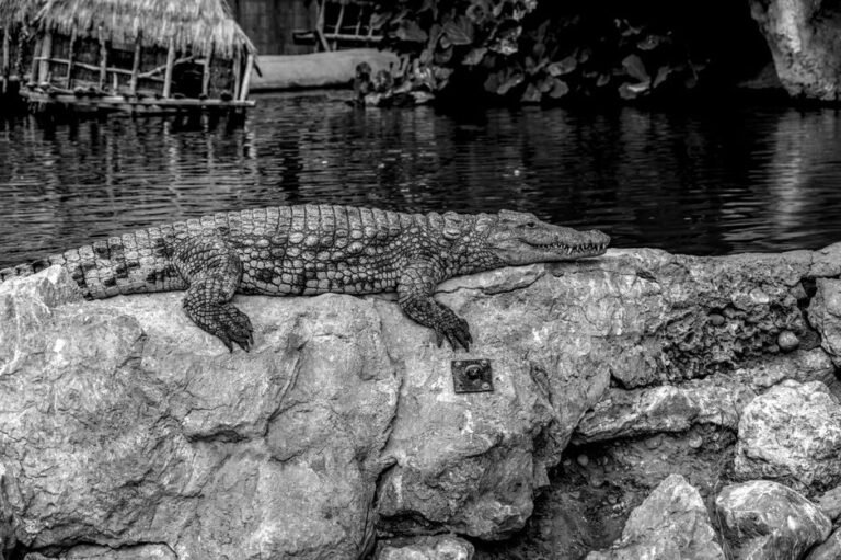 San Juan de la Maguana: Cultura y Ecoturismo en el Corazón de la República Dominicana