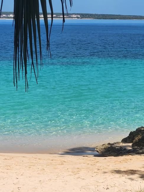 Bahía de las Águilas: Tendencias de Viaje desde EE.UU. y Canadá 2026