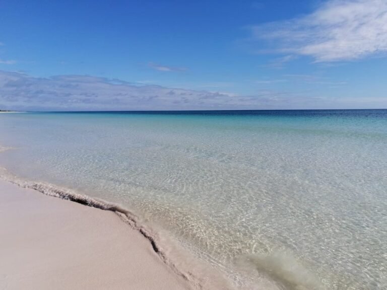 Bahía de las Águilas: Un Oasis Natural en la República Dominicana