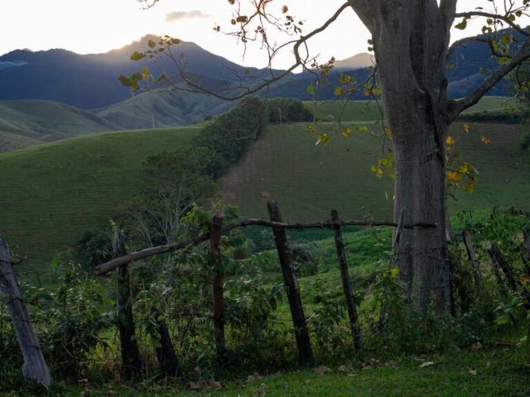 Santiago de los Caballeros y Moca: Dos Joyas del Cibao