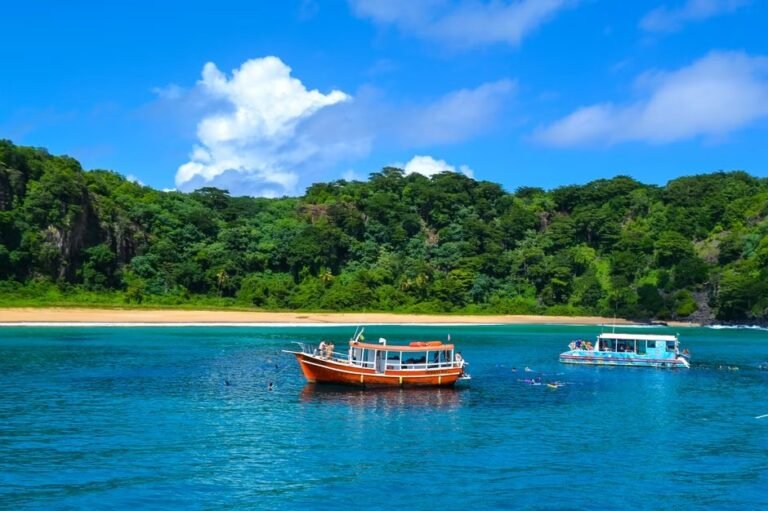 Samaná: Nuevas Rutas y Oportunidades en el Crecimiento Turístico
