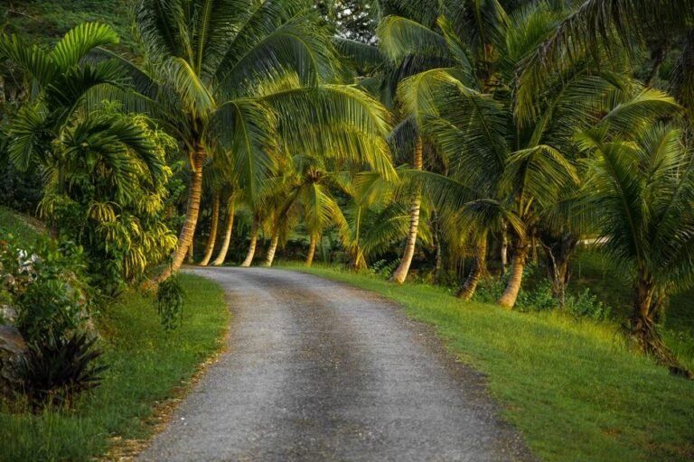 Ecoturismo en Barahona: descubre la biodiversidad del sur