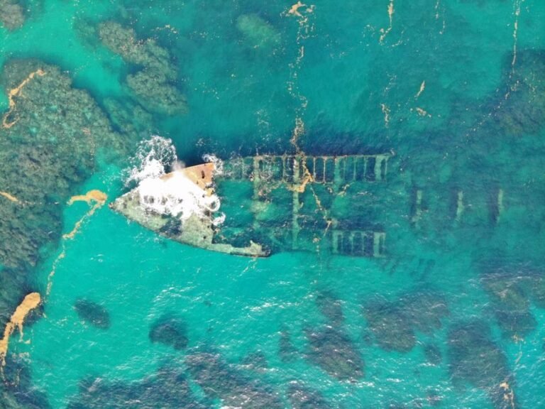 Auge del ecoturismo en Barahona: tendencias de búsqueda 2026