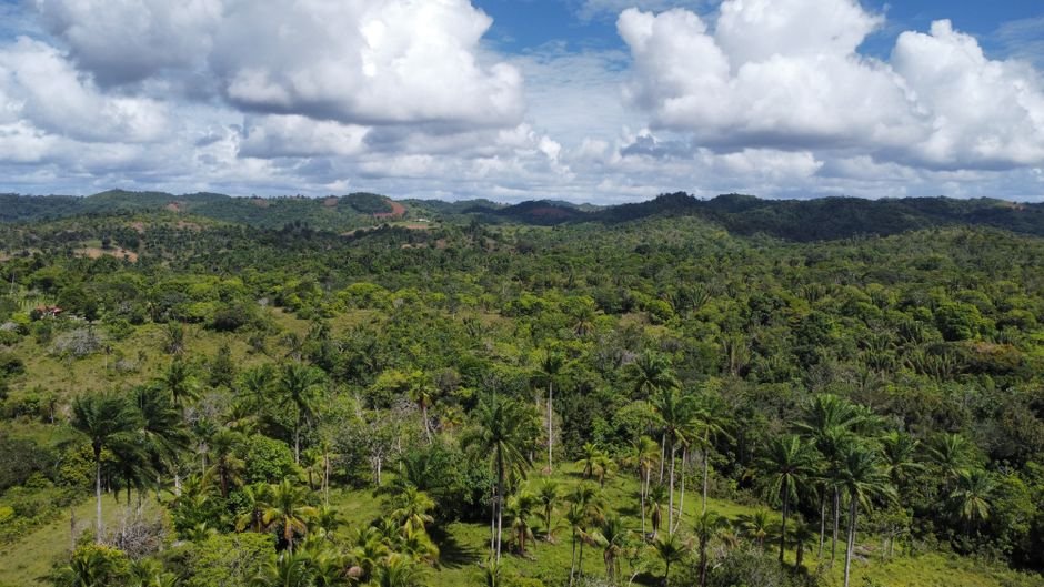 Biodiversidad y Parques Nacionales en República Dominicana — imagen de turismo en República Dominicana